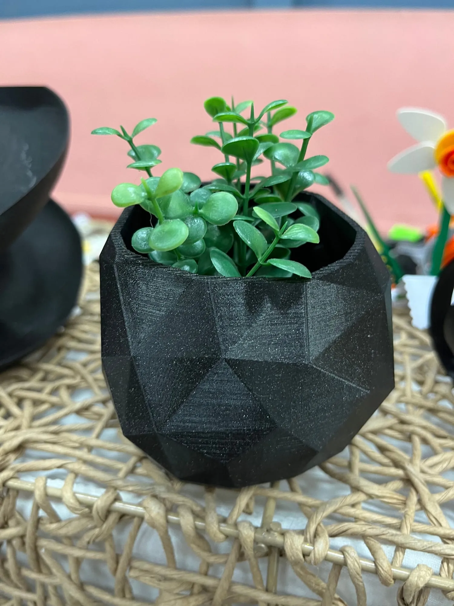 Pot crâne low poly noir garni d’une petite plante verte, vue de trois quarts arrière