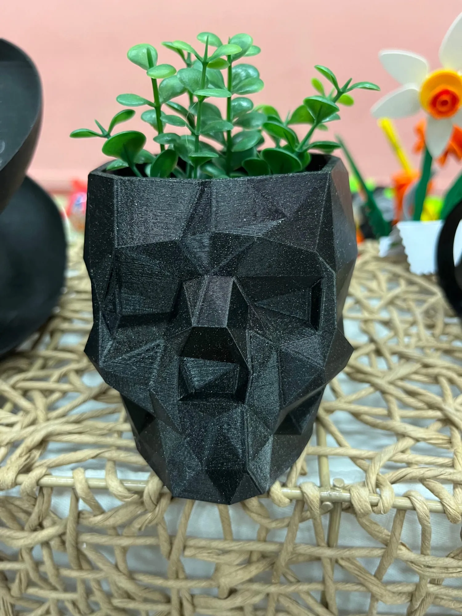 Pot crâne low poly noir garni d’une petite plante verte, vu de face