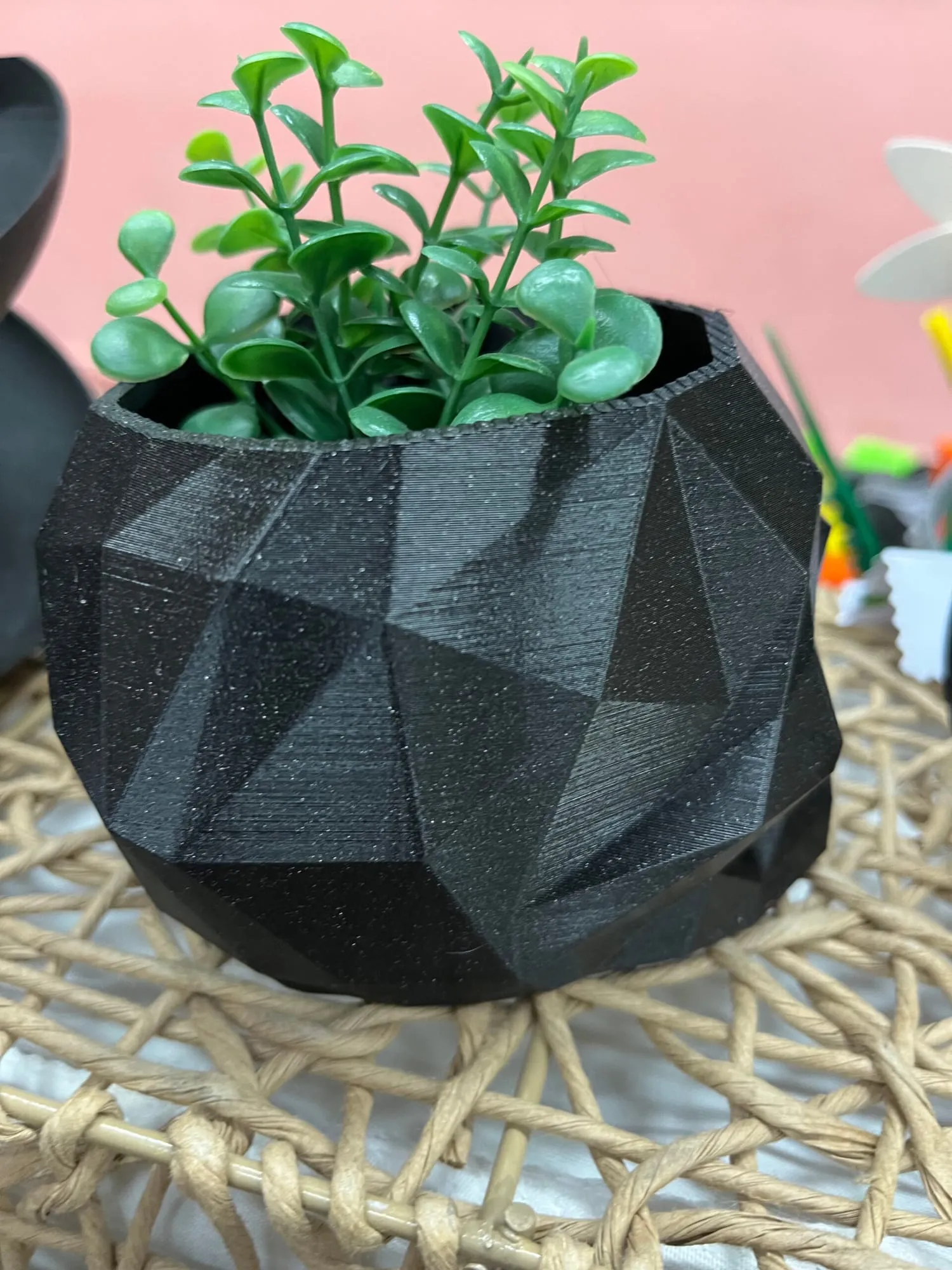 Pot crâne low poly noir garni d’une petite plante verte, vu de l’arrière